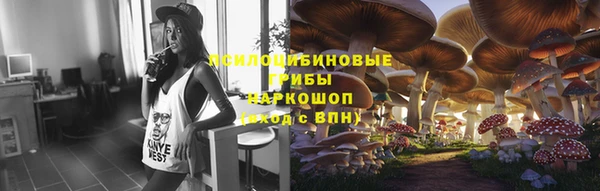 mdpv Мегион