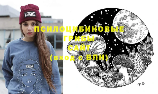 mdpv Мегион