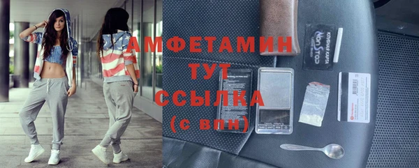 молекула духа Михайлов